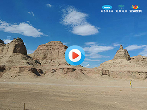 康思伟，康思伟医药