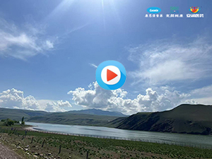 康思伟，康思伟医药