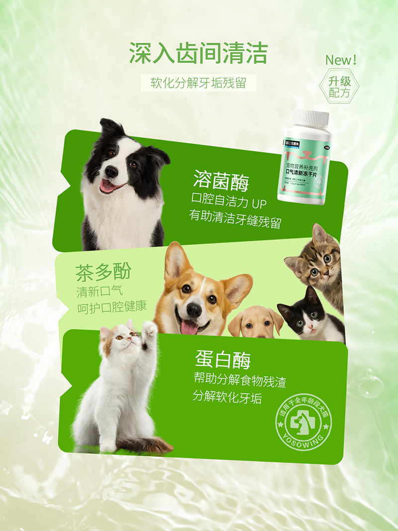 优思韦-口气清新冻干片