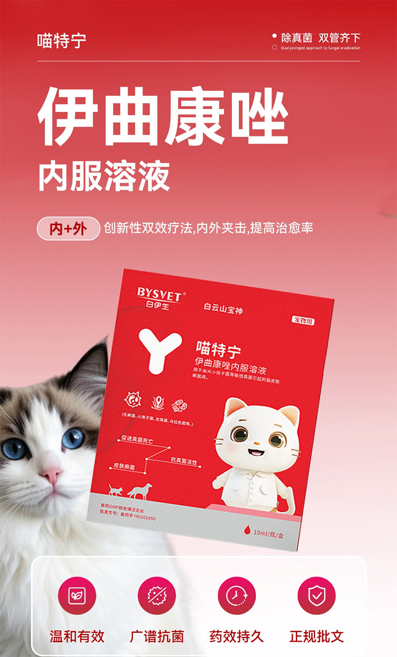 伊曲康唑内服溶液