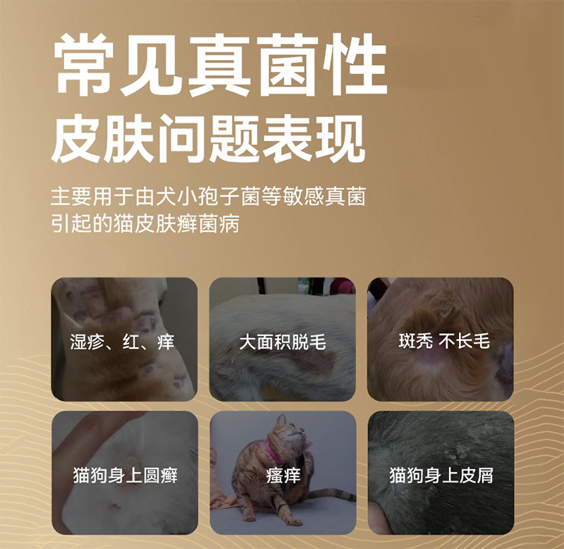 伊曲康唑内服溶液