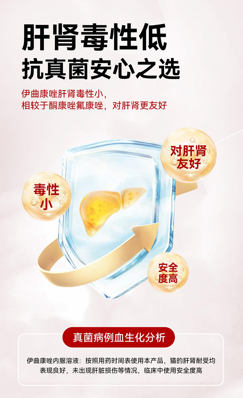 伊曲康唑内服溶液