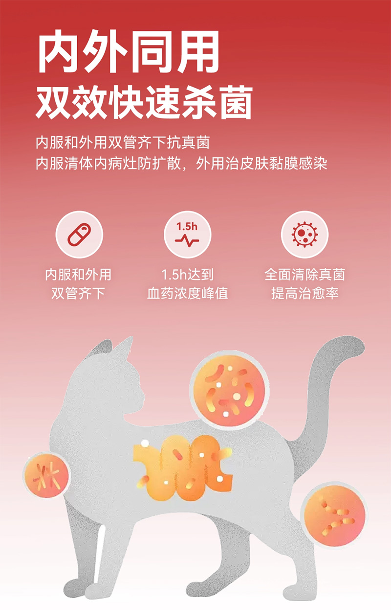 伊曲康唑内服溶液