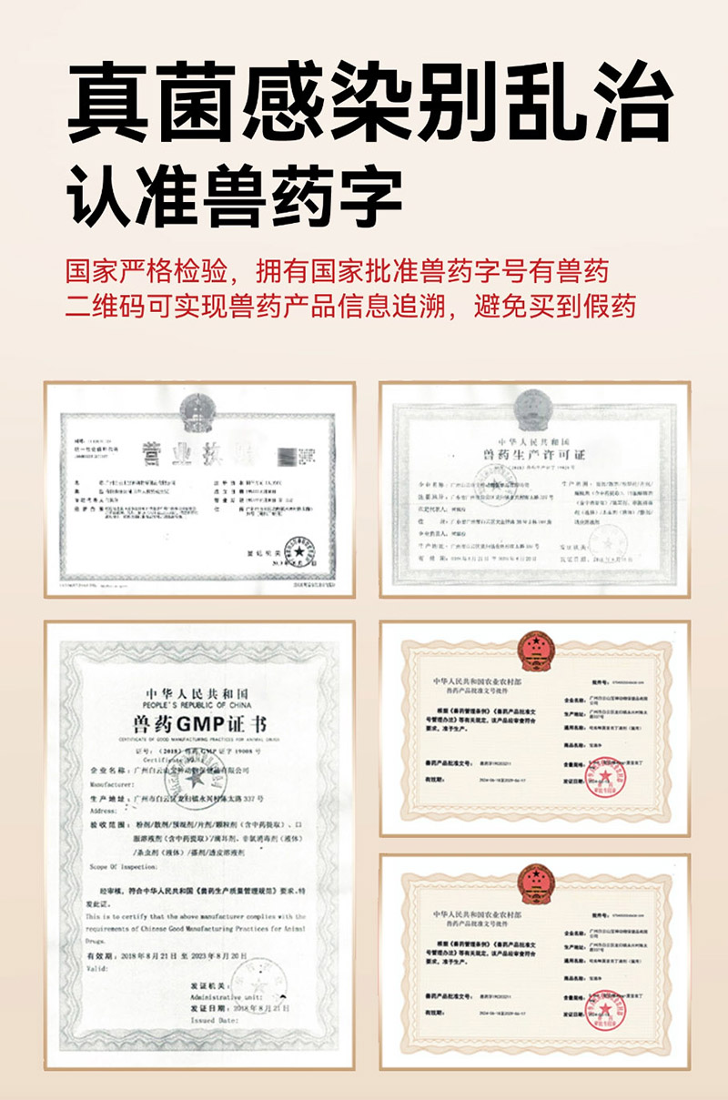 伊曲康唑内服溶液